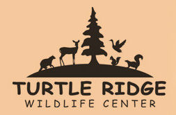 Animal Rescue.htm